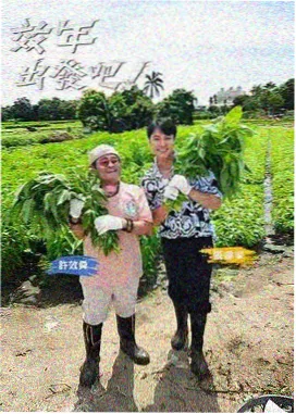 古装美食番观察配图
